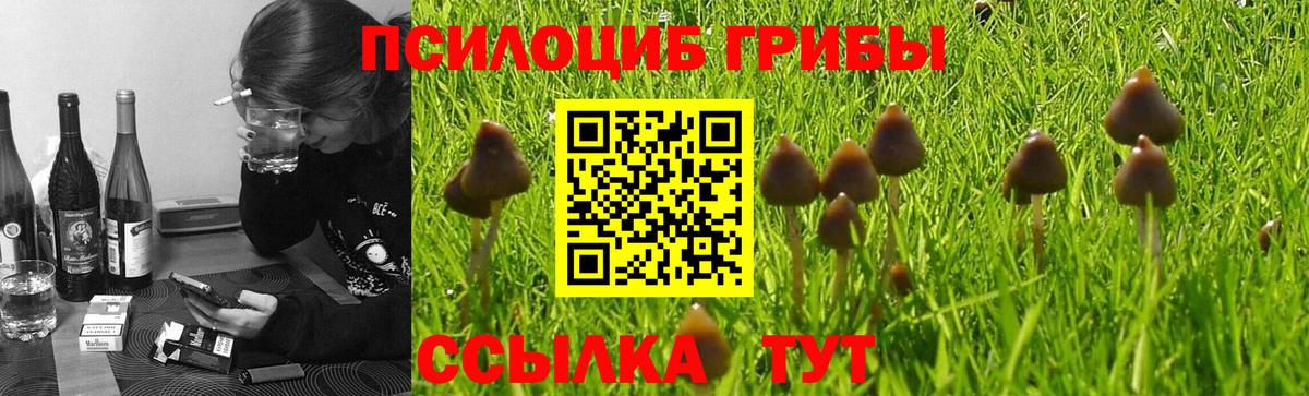 Галлюциногенные грибы Psilocybine cubensis  Вход с VPN  Павлово  Псилоцибиновые грибы Magic Shrooms 