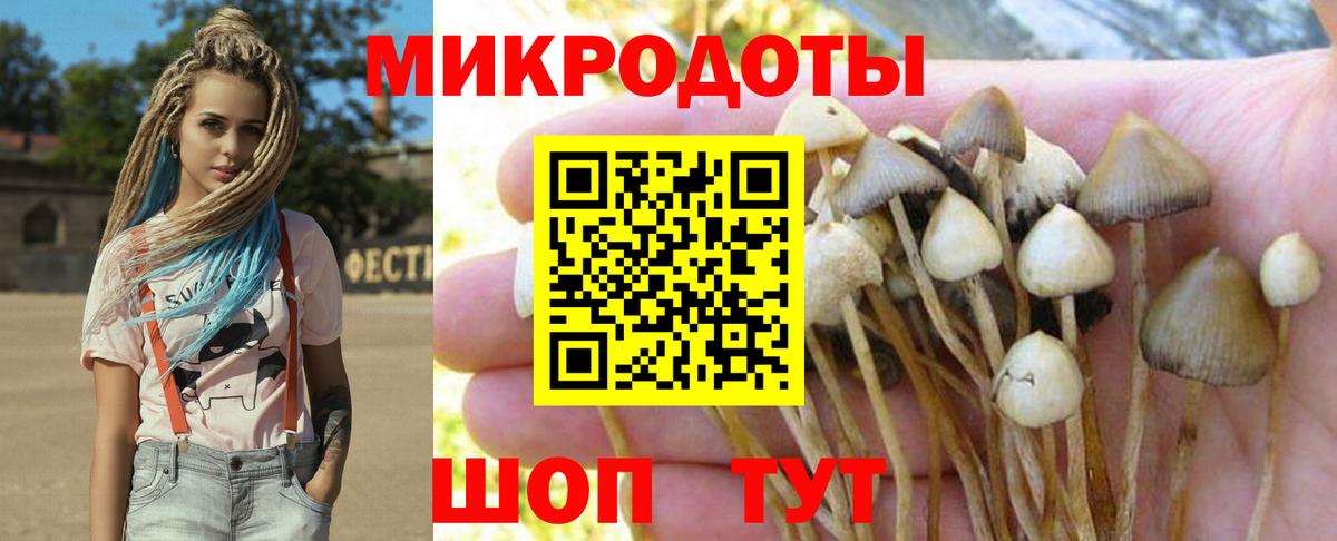Галлюциногенные грибы Cubensis Павлово